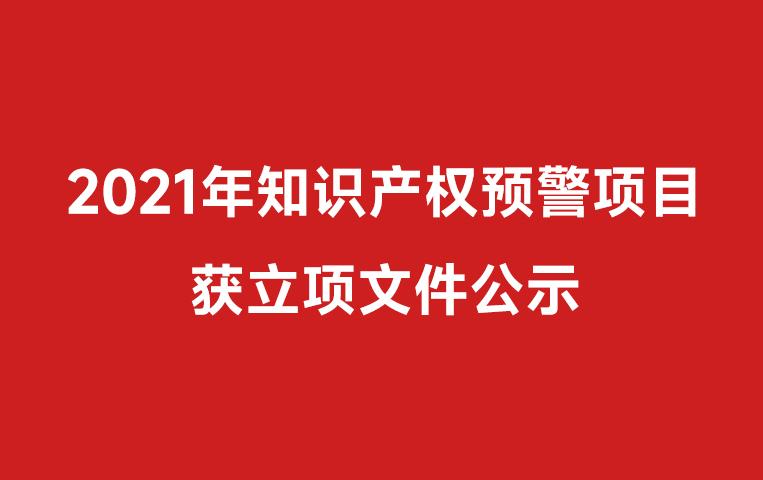 我司承擔的無錫市 2021年知識產權預警項目獲立項文件公示